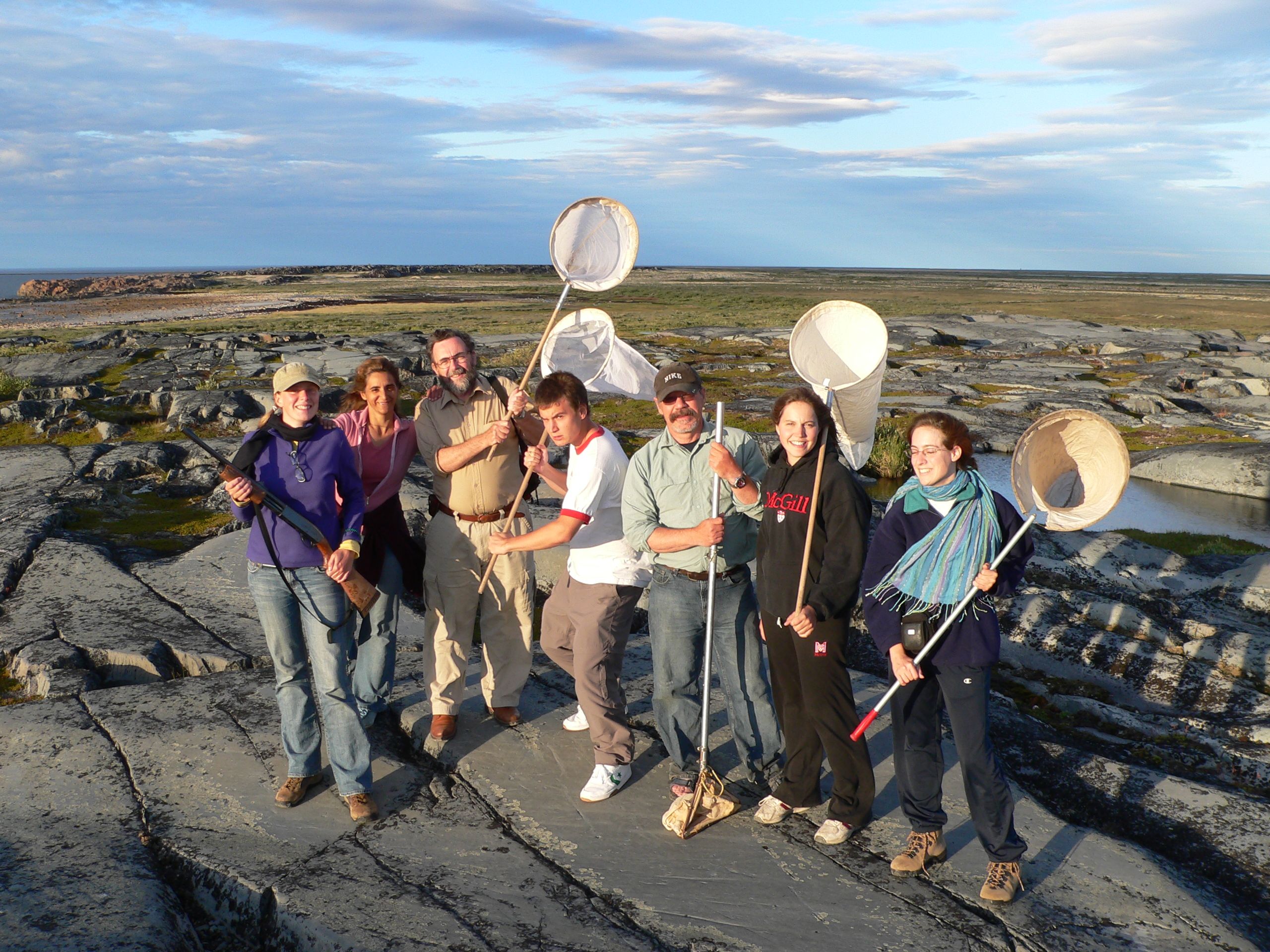 arctic and boreal entomology group