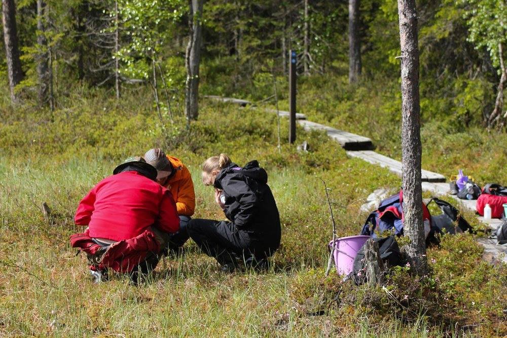 Oulanka research station.jpg