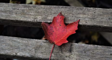 Ocean Frontier Institute - Visiting Fellowship program.jpg