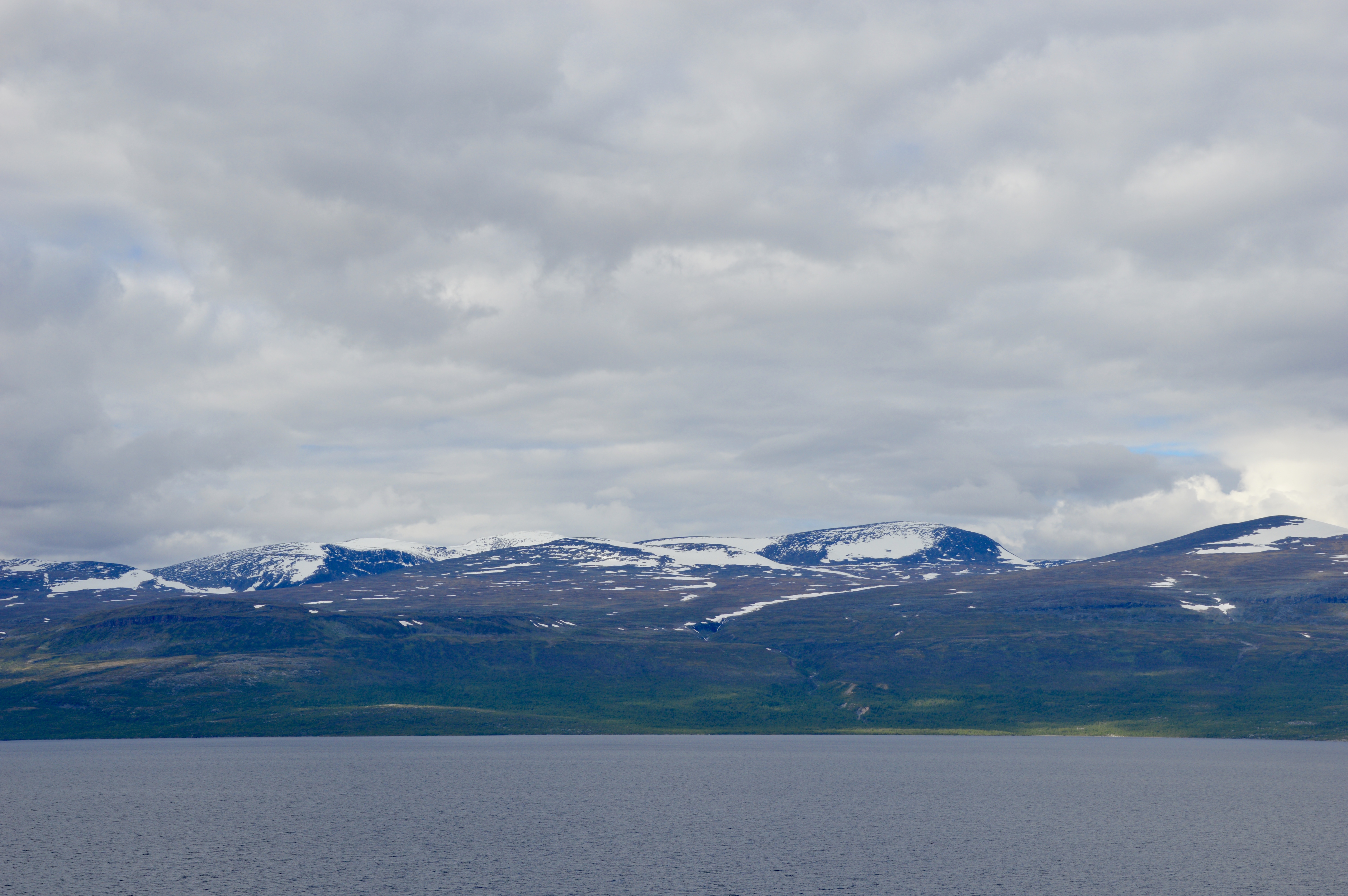 TN Ageing and Gender news photo