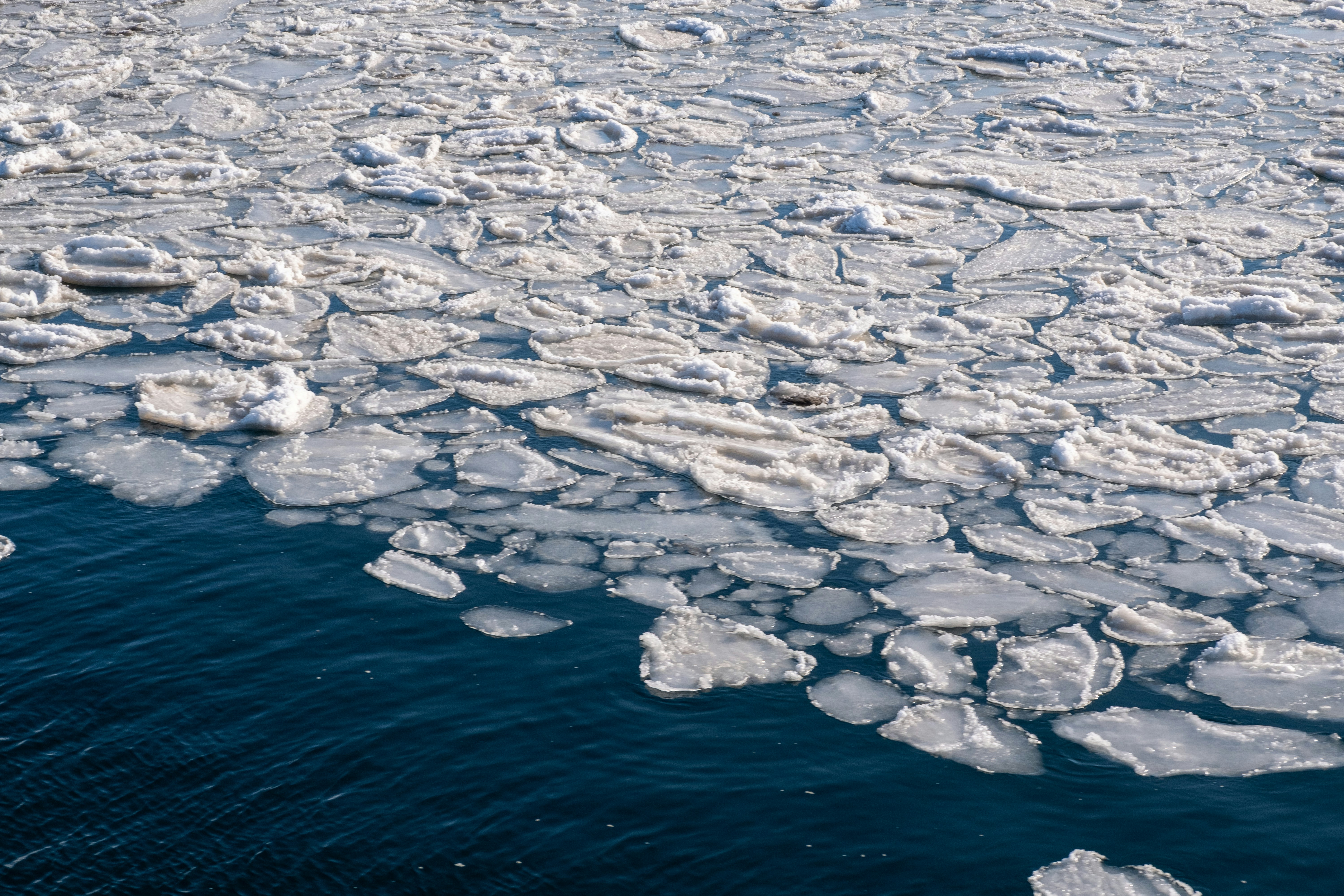 Gunnar Ridderström On Unsplash