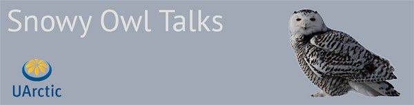 Snowy Owl Banner