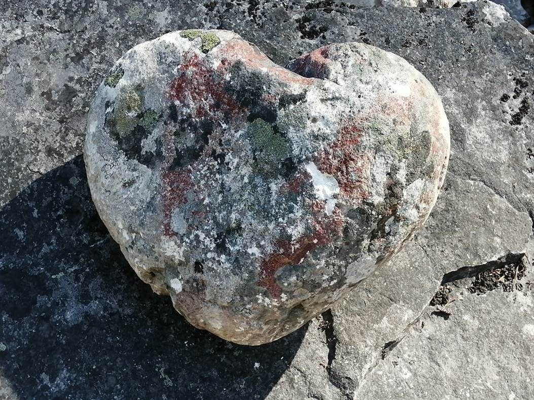 TN CAS Symposium 2022