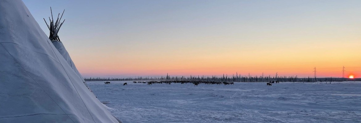 Reindeer Herder Camp During Winter