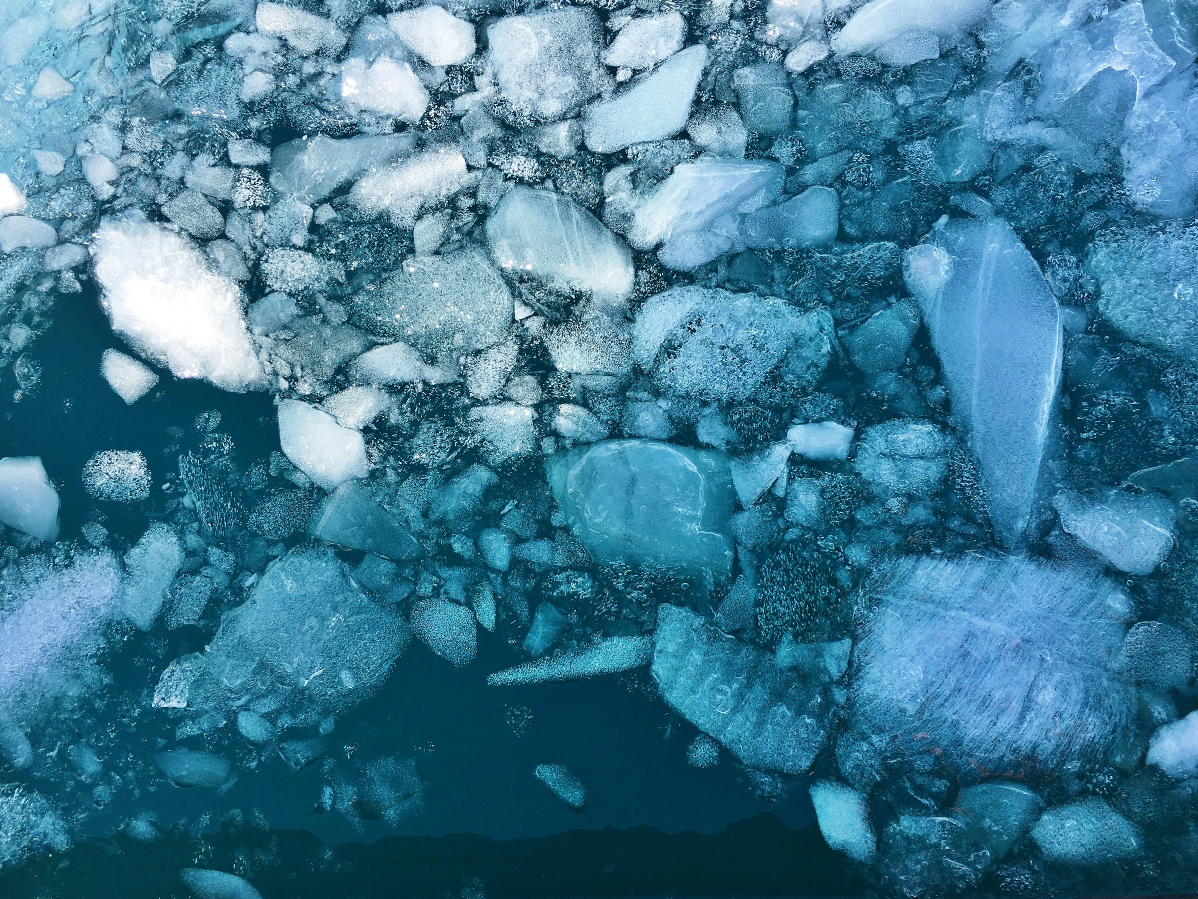 Cassie Matias Sea Ice Floes